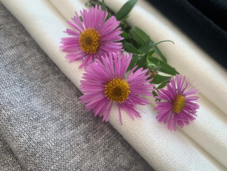 Евроангора AN 2201