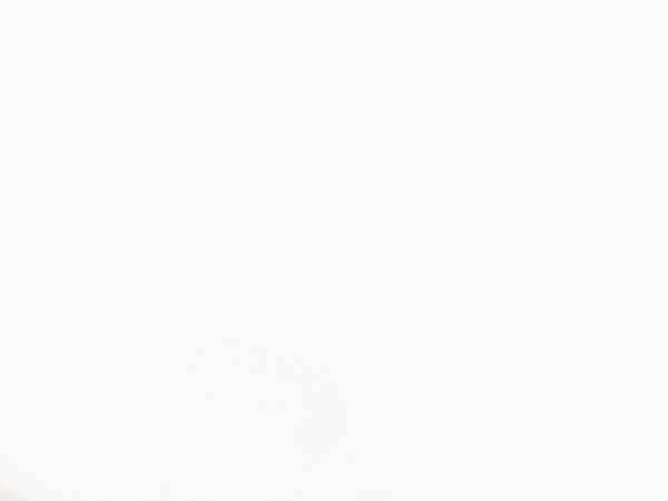 Поливискоза костюмная GT 2100#1 белый