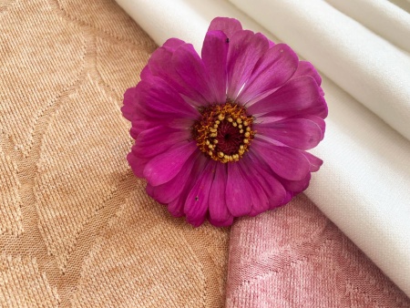 Евроангора AN 2200